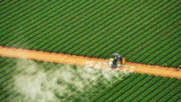 Best Commercial Pest Control Services  in Adel, IA