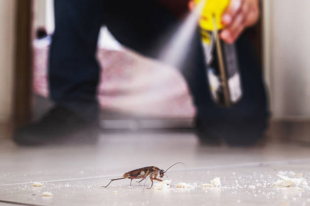 Professional Pest Control in Adel, IA