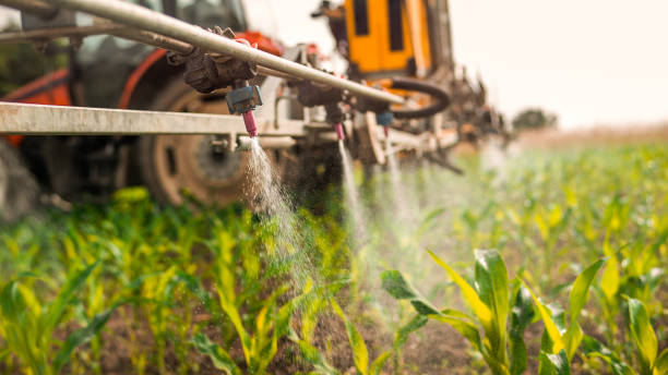 Best Pest Inspection Near Me  in Adel, IA